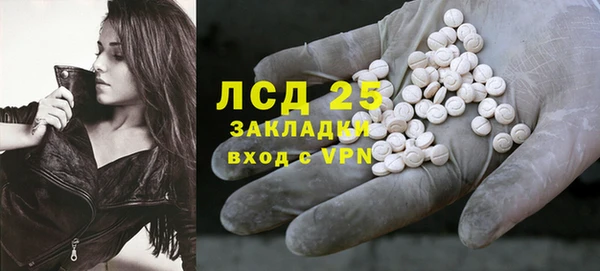 spice Верея