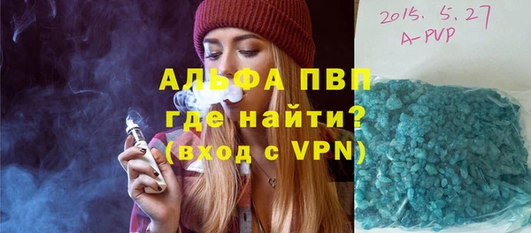 spice Верея